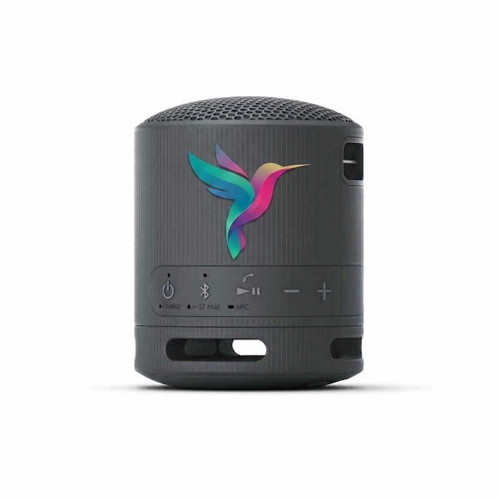 Sony Bluetooth Speaker SRS-XB100- Zwart