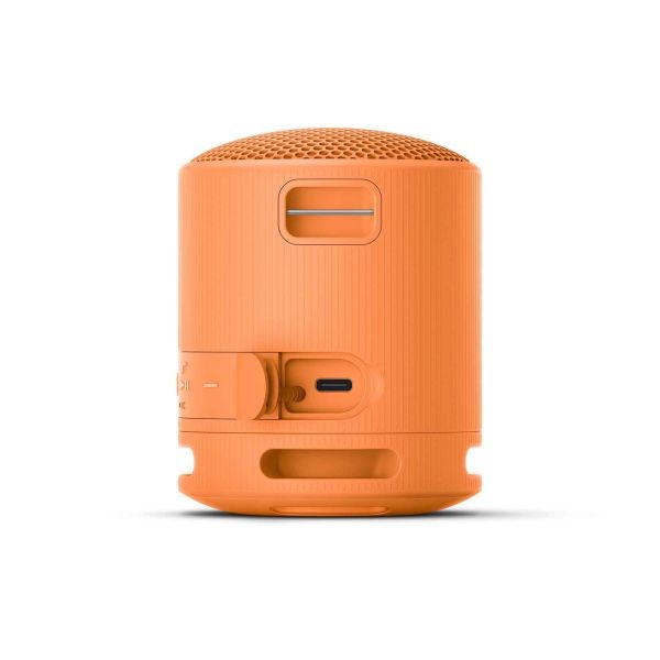 Sony Bluetooth Speaker SRS-XB100- Oranje