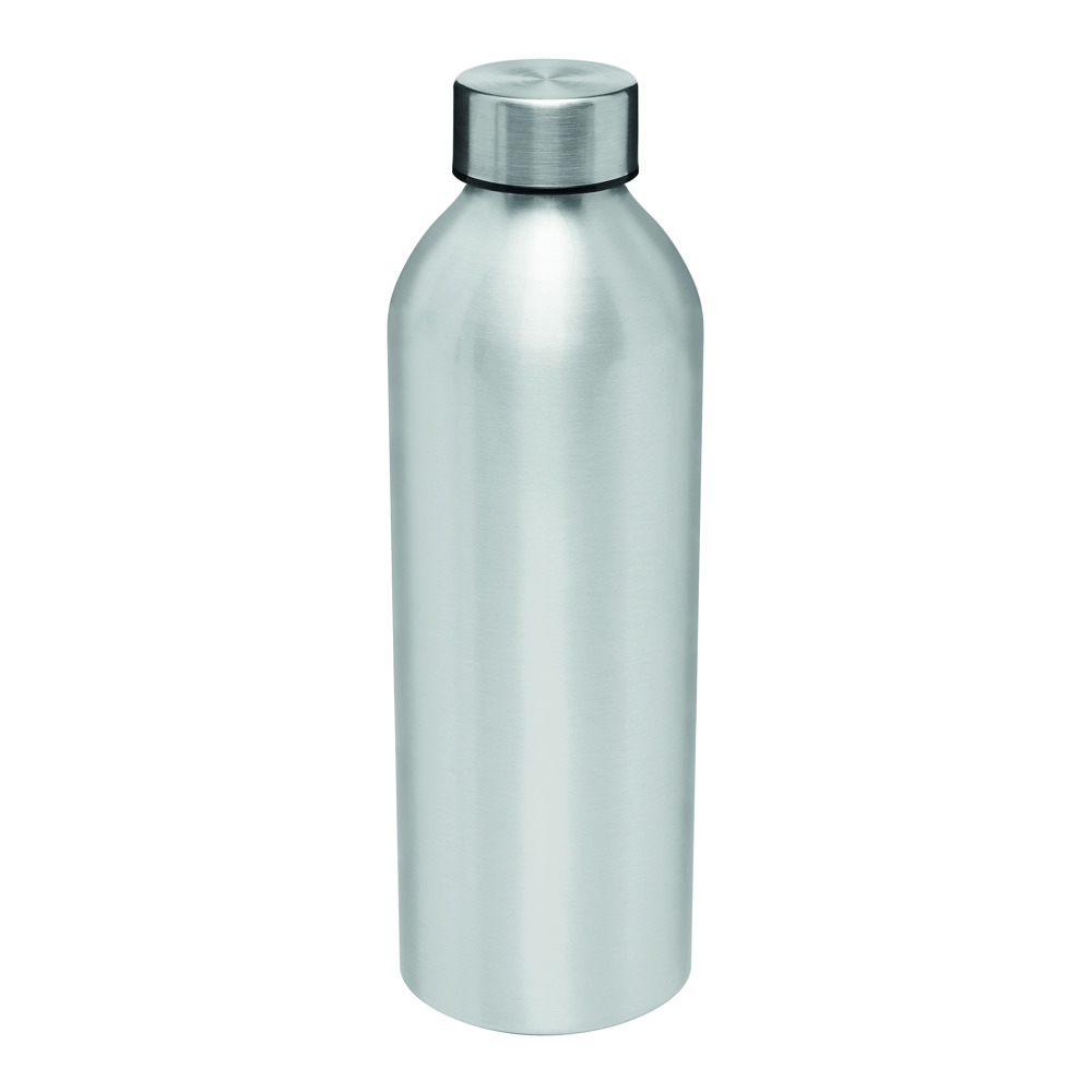JUMBO TRANSIT - Aluminium drinkfles - Zilver